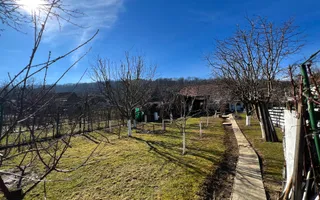 Casa de vanzare pretabila 2 familii, garaj, livada, comuna Pianu - Poză 38