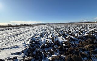 🌾 Teren extravilan de vânzare | Horodnic de Sus | 45 Ari  🌾 - Poză 3