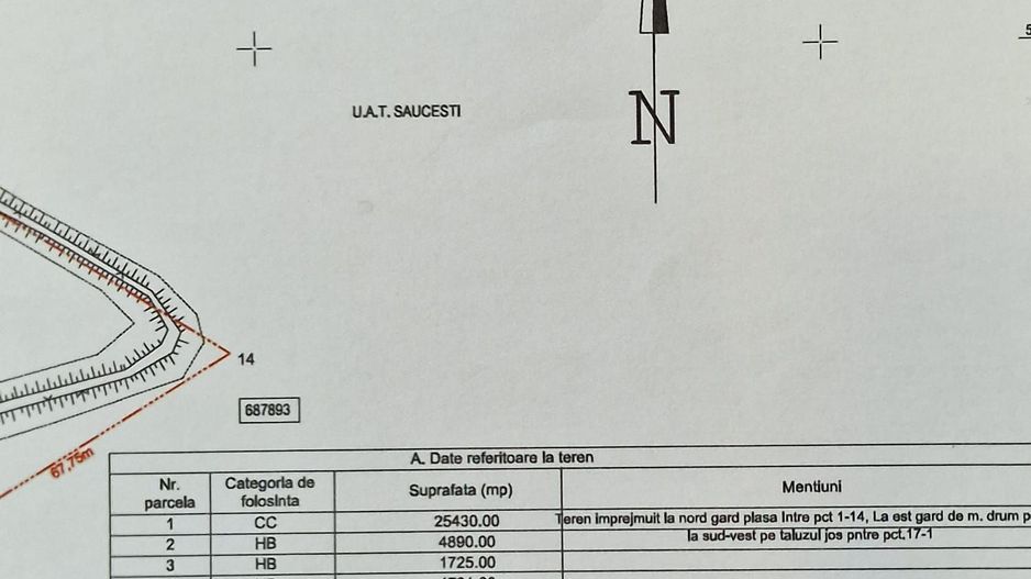 Iaz Piscicol Bacau Saucesti - Poză 2
