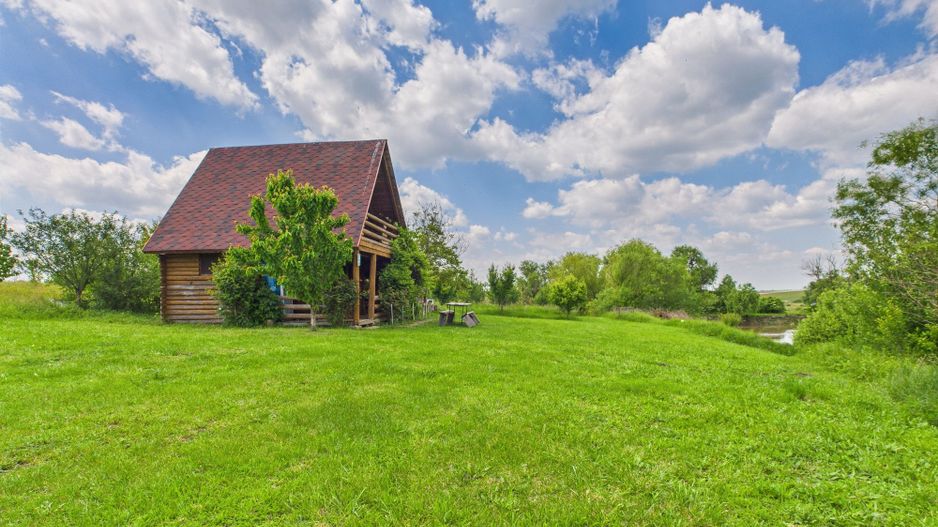 Teren cu baltă- oportunități multiple la Fibiș - Poză 10