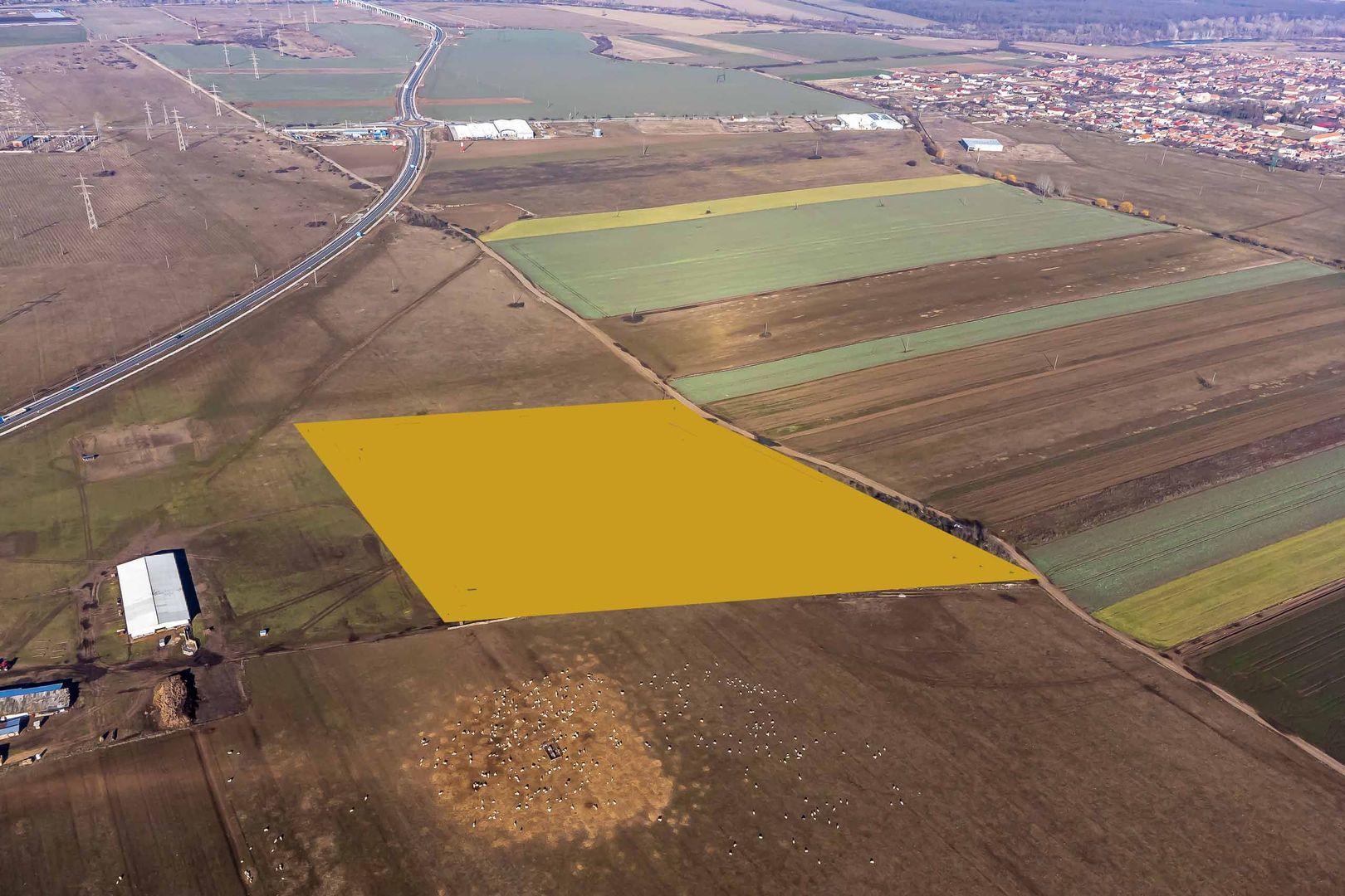 Teren agricol extravilan cu potențial de dezvoltare – 41.600 mp – Arad - Poză 1