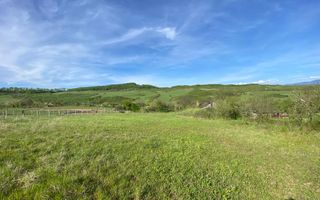 Teren 2160 mp - pretabil pentru cabana - investitie - Jelna - Poză 2