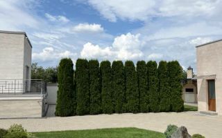 Vilă exclusivistă I 300 mp utili I teren 1000 mp I Șelimbăr I Zonă premium - Poză 7