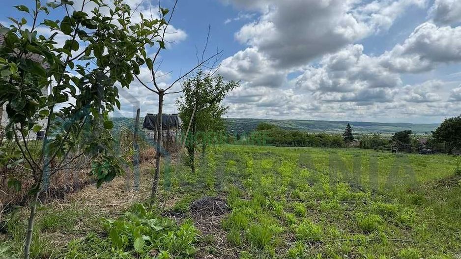 Teren intravilan 1797 mp în Dobrovăț (Ruși), lângă pădure, cu utilități și amenajări existente - Poză 4