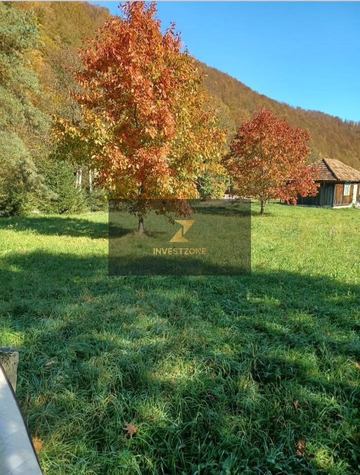 Teren de vis de vanzare in Remeti-Bihor-27p0 mp - Poză 13