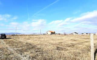 Teren intravilan de vanzare, Oarda de Sus - Poză 3