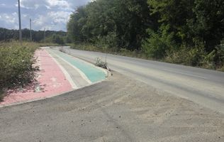 Teren 7 euro mp str asfaltata langa padure Colibasi Campurelu