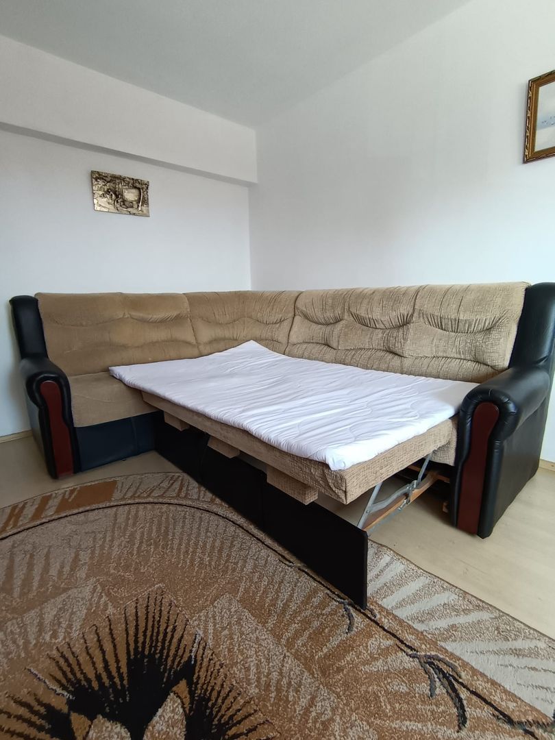 Apartament 1 camera decomandat de inchiriat – Zona Garii - Poză 10