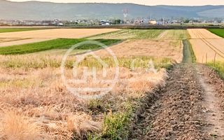 Teren intravilan de vanzare in Alparea, Bihor - Poză 3