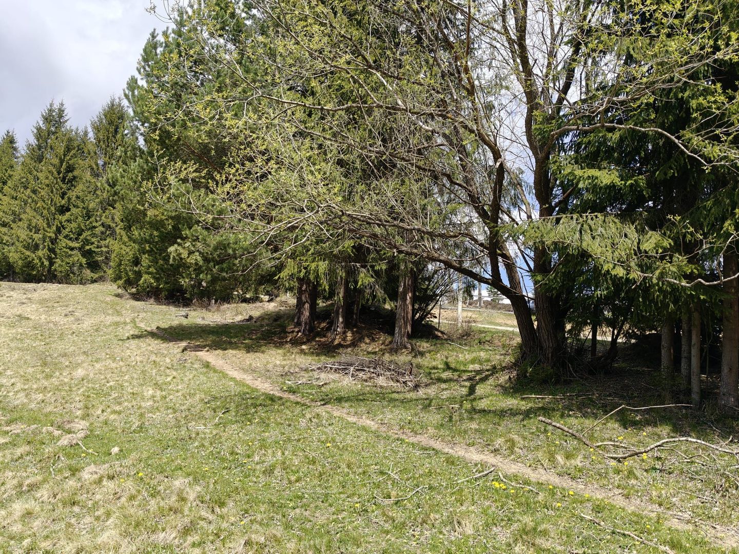 Teren intravilan, 1500 mp, Dealu Botii, com Belis, Comision 0 - Poză 4