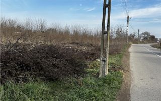 Parcele Intravilan 5km de Salonta Utilitati si asfalt - Poză 2