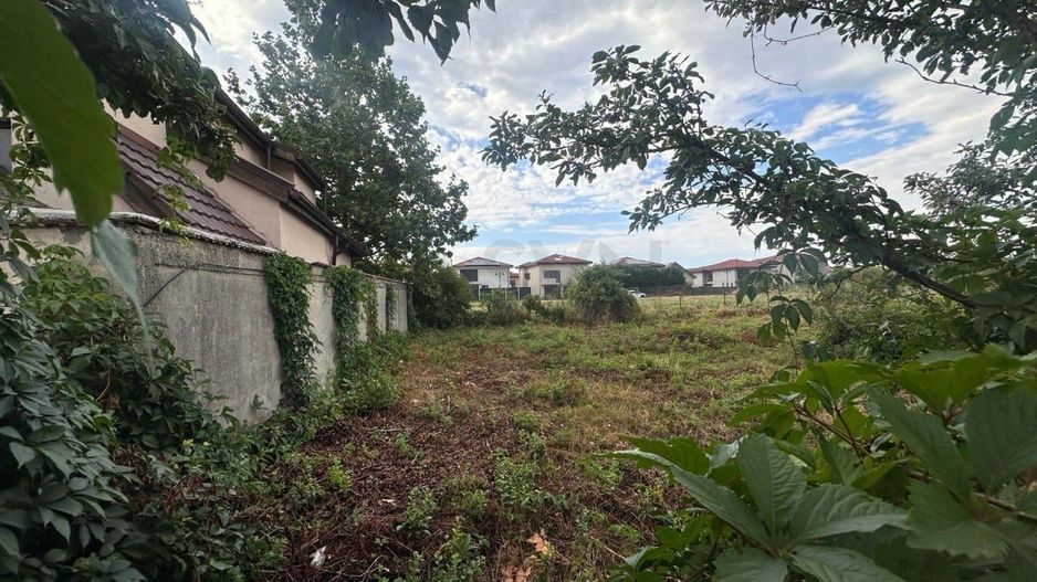 REL4001170 Teren I Campul Pipera - Poză 1