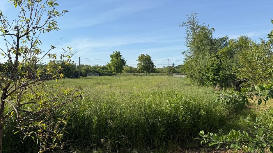 Teren de 3360 mp în exclusivitate, Sânmihaiu Român, vedere la Bega - Poză 3