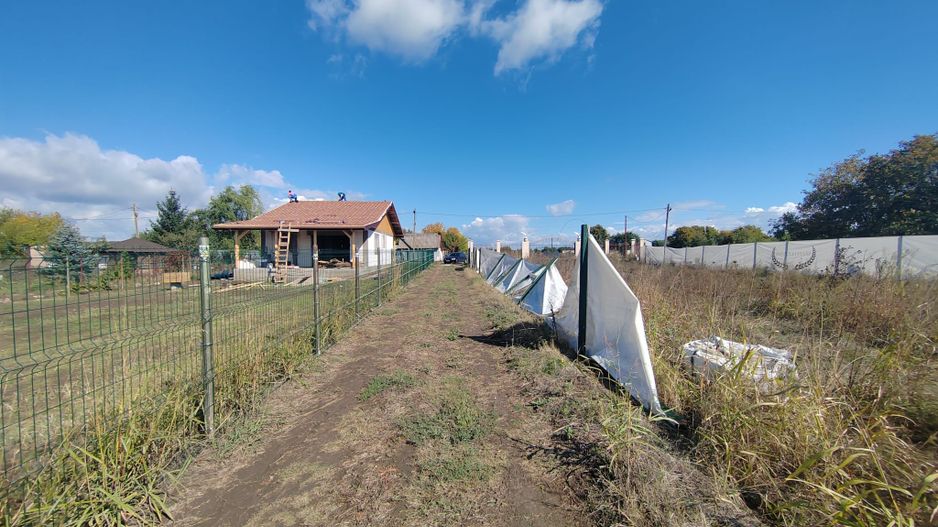 Gagu Dascalu teren ideal pentru investitie zona in dezvoltare - Poză 9