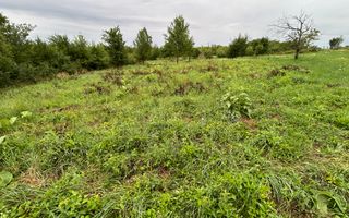 Teren intravilan de vânzare în Daia Nouă – 1.000 mp - Poză 4