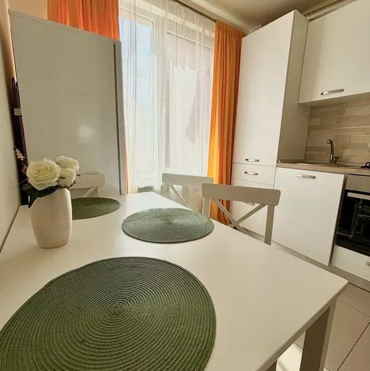 Giroc | 1 Camera | Mobilat si Utilat | Etaj 1 |  Loc de parcare - Poză 3