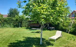 Cocheta si mobilata pe parter - Poză 8