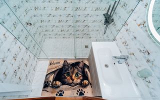 Spre chirie apartament spațios în Ciocana, str. Ginta Latină 21. - Poză 11