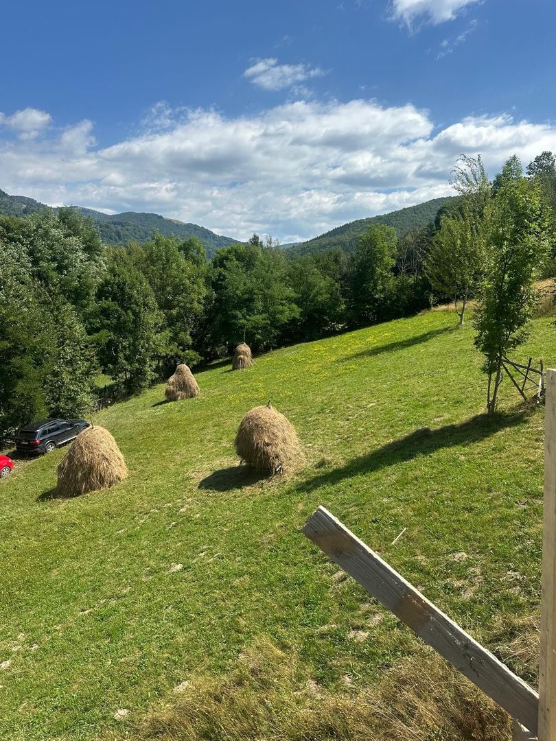 Vila 5 Camere Valea Doftanei Prahova Super View - Poză 7
