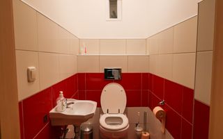 2 Case | 8 Camere | Teren 1180 | Porumbacu de Sus - Poză 21