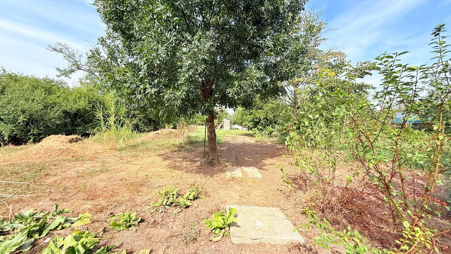 Casă de vânzare | 5 camere | Teren 1.200 mp | Foisor | Ciorogârla - Poză 22