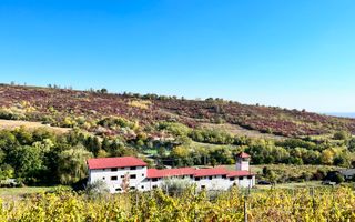 14Ha podgorie, livada pomi fructiferi, si conac 3000mp - Poză 7