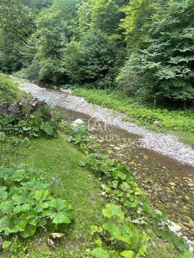 Teren pentru investiție turistică în Dâmbovicioara – Baranga | 4.500 mp | Front ~102 ml - Poză 19