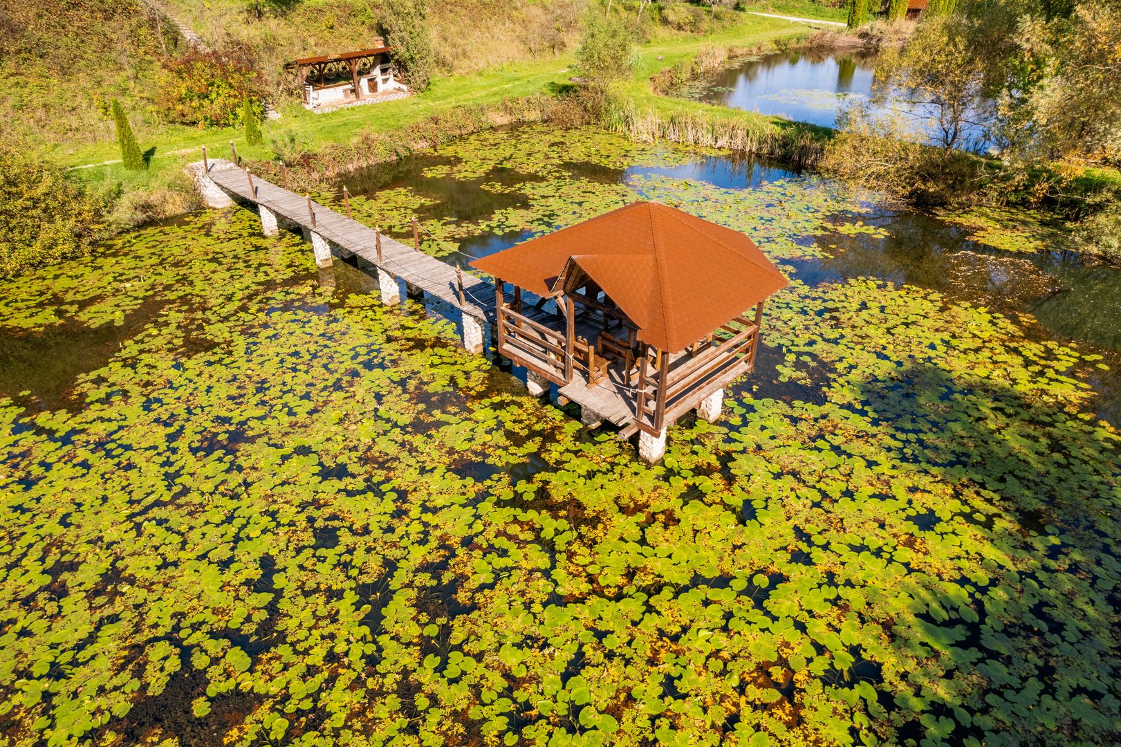 Domeniu în satul Căprioara - Poză 23