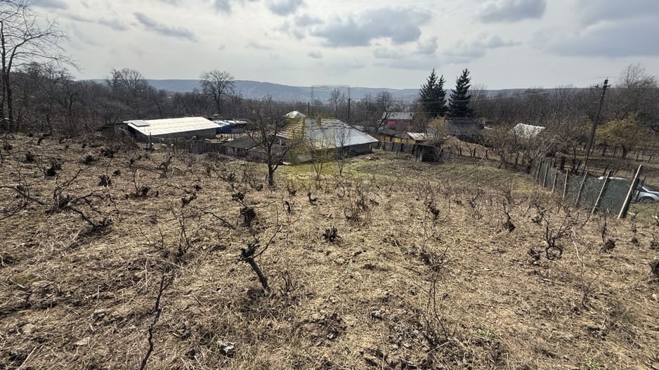 Teren intravilan Dobrovat + Casa Batraneasca - Poză 7