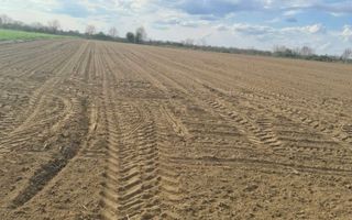 Vand teren extravilan in Martinesti - Poză 2