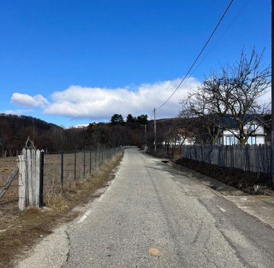 Teren Cicanesti Arges, la 10 KM de Transfagarasan - Comision 0% - Poză 4