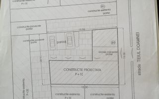 Teiul Doamnei numarul 89, Bucuresti, Sector 2 - Poză 3