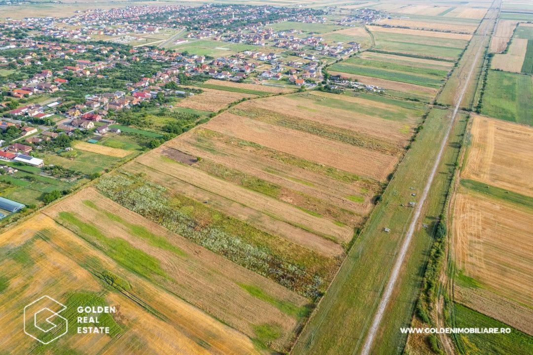Teren intravilan 5000 mp, arabil in Sanleani - Poză 2