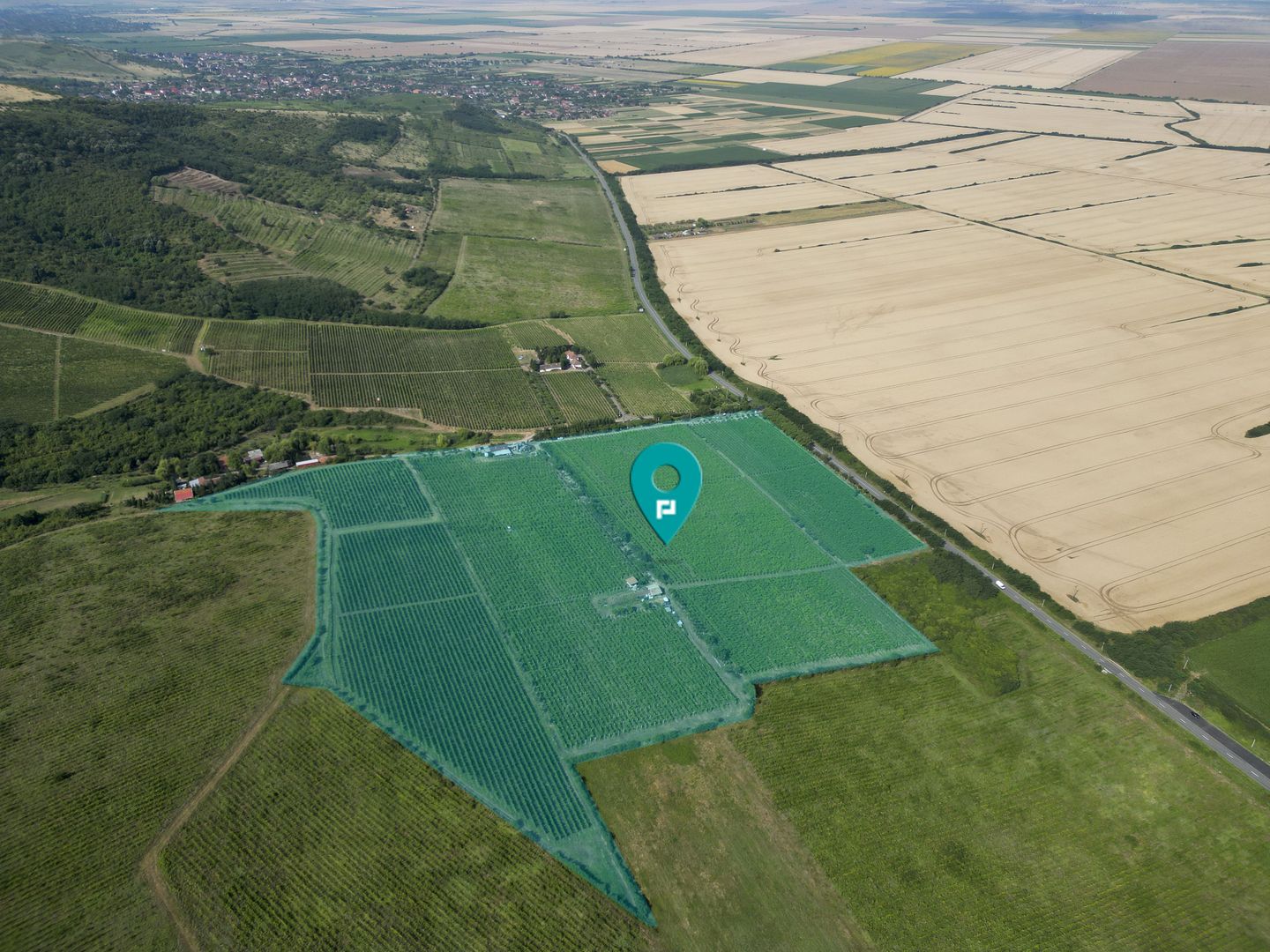 Vie Tradițională „Halta Lupilor” - Poză 51