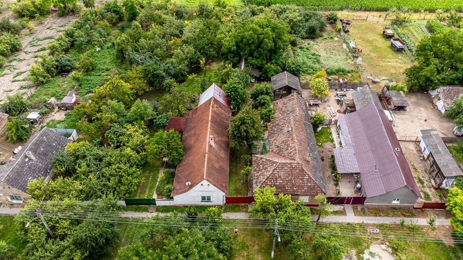 Casă cu 3 camere Peregul Mic - Poză 9