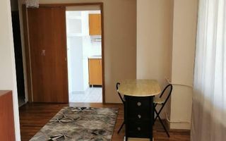 Garsonieră spațioasă de 50 mp, ultracentrală, renovată, Bd. Unirii - Poză 3