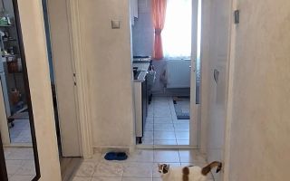 Apartament 3 camere, etaj 4, zona Podul Roș, Iași - Poză 4