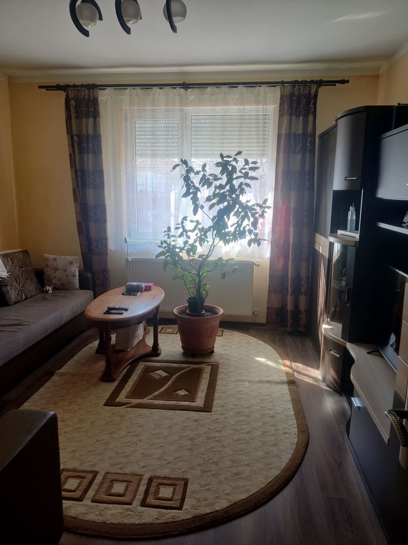 CASA CU TEREN 838 MP ZONA STEAUA - Poză 15
