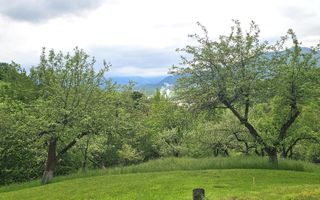 Domeniu Premium 1.7 Ha Intravilan Zărnești | Lizieră Pădure | Ideal Resort - Poză 8