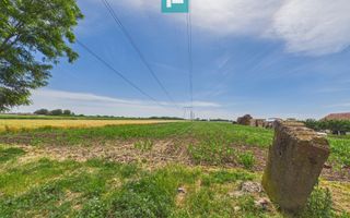 Teren extravilan 5000 mp, Arad - Poză 5