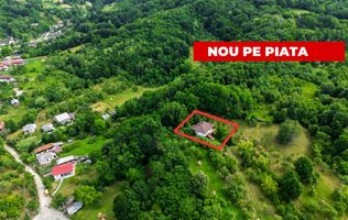  Proprietate de poveste în Corbi, Argeș - Doua case si 6300 mp teren intravilan