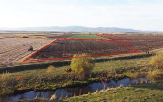 Halchiu Brasov, 80.000 mp teren extravilan - agricol - Poză 3