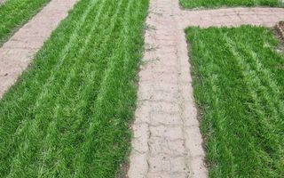 CASA INDIVIDUALA P+1+POD - STRADA  ASFALTATA / UTILITATI, COMISION 0% - Poză 19