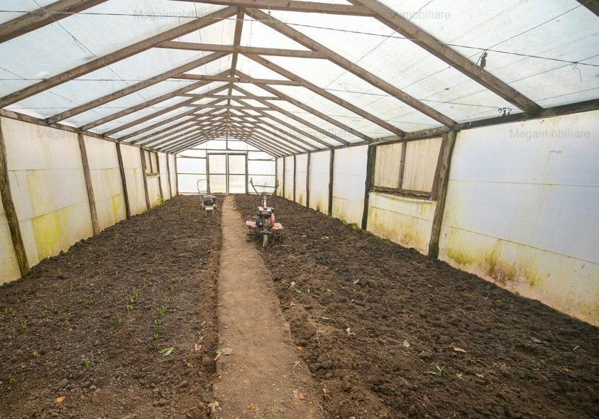 Vanzare ferma agricola Negru Voda - Constanta cu 240 hectare teren si utilaje - Poză 21