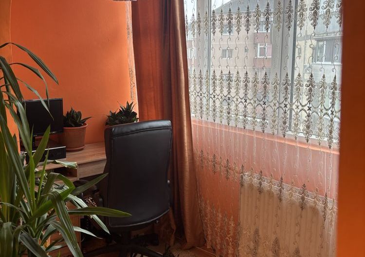 Apartament 1 Camera Calea Buziasului - Poză 3