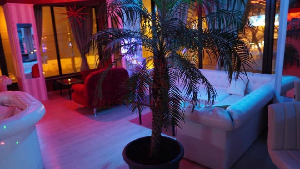 Spațiu comercial 820 mp de închiriat – Calea Aradului - Poză 17