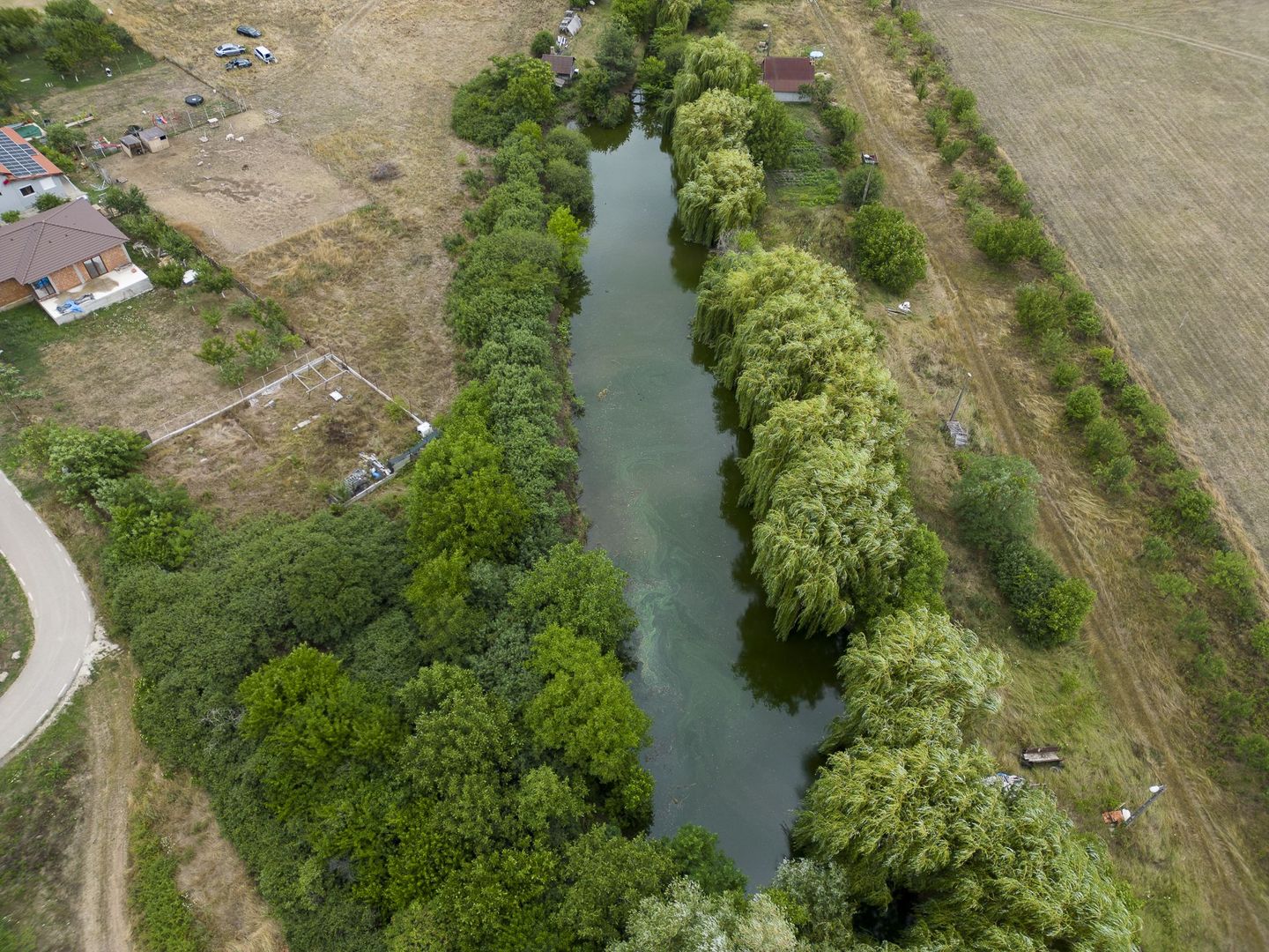 Teren de 7900 mp cu baltă de pescuit în Frumușeni - Poză 12