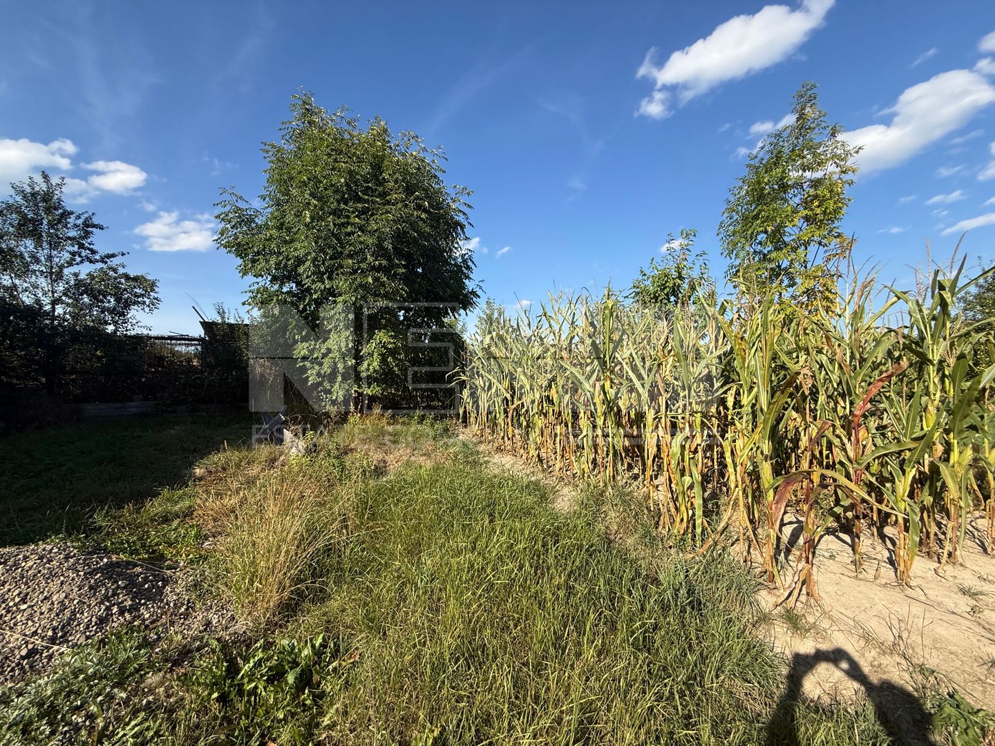Teren intravilan Voitinel | 6.355 mp - Poză 5