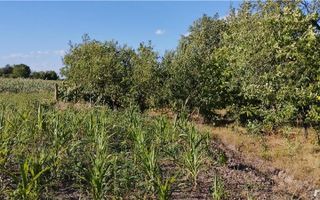 Casă cu teren și front stradal generos - Poză 8