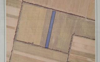 Teren arabil si padure de vanzare - Poză 4